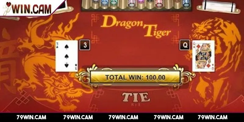 Quản lý vốn trong cách chơi rồng hổ